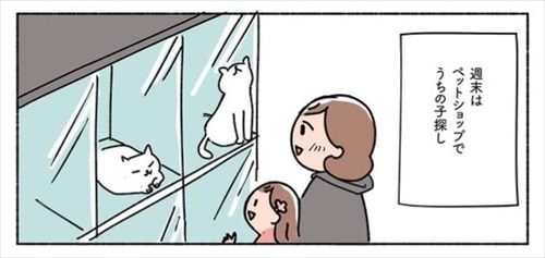 ねこ活はじめました