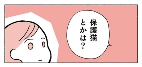 ねこ活はじめました