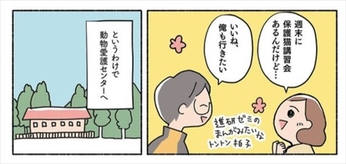 ねこ活はじめました