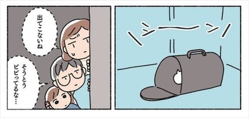 ねこ活はじめました
