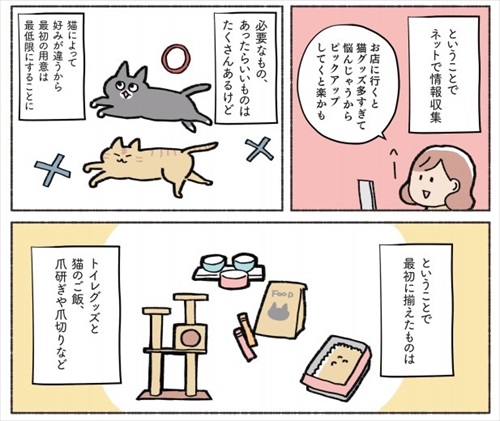 ねこ活はじめました