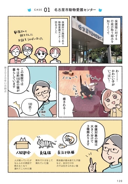 ねこ活はじめました