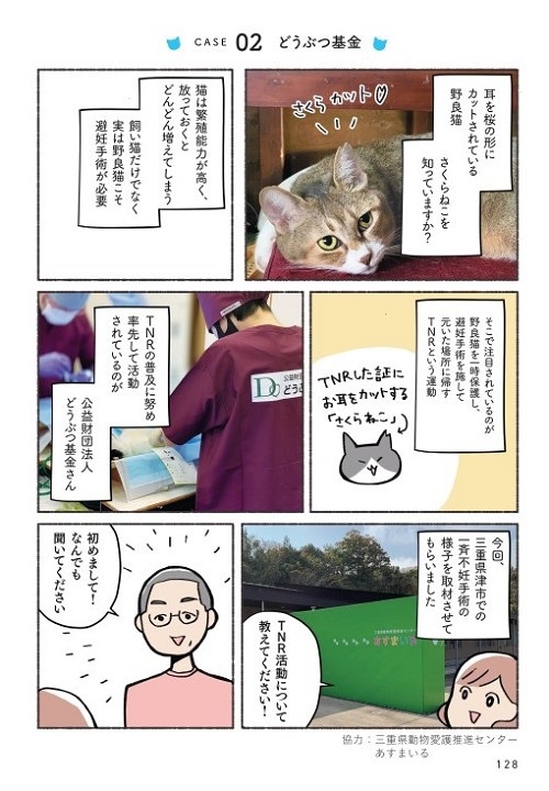 ねこ活はじめました
