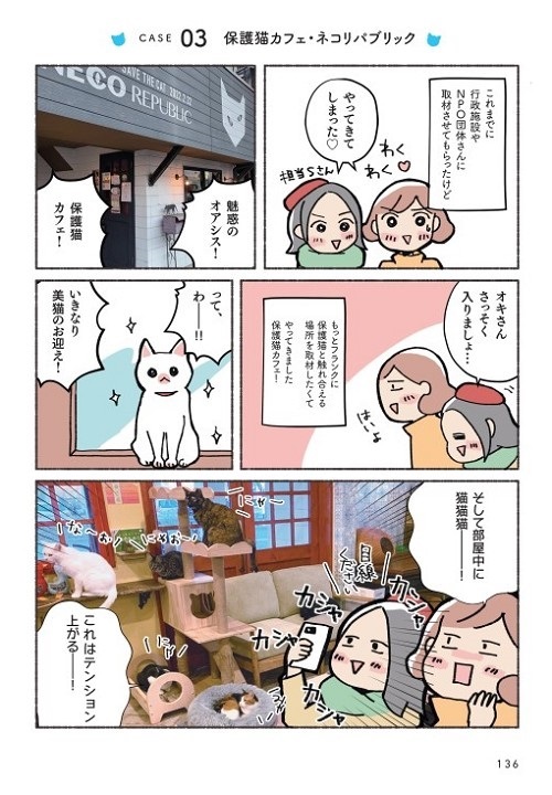 ねこ活はじめました