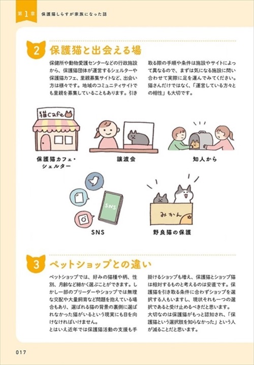 ねこ活はじめました