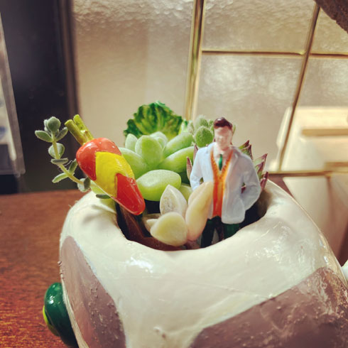 モルカー植木鉢
