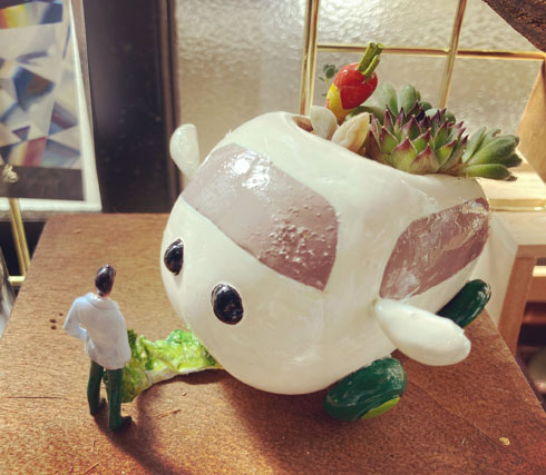 モルカー植木鉢