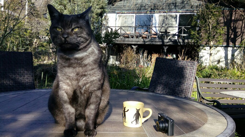 カフェ店員ひでじくん