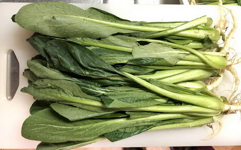 小松菜冷凍保存