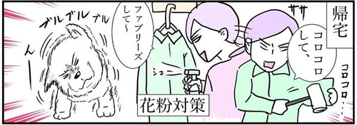 花粉症犬