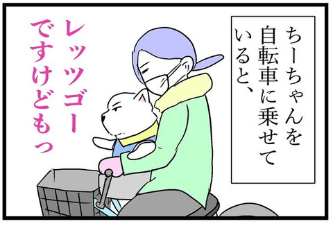 グランマちーちゃん