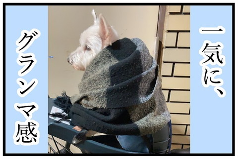 グランマちーちゃん