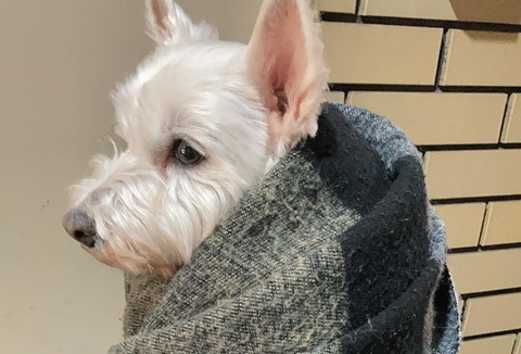 グランマちーちゃん