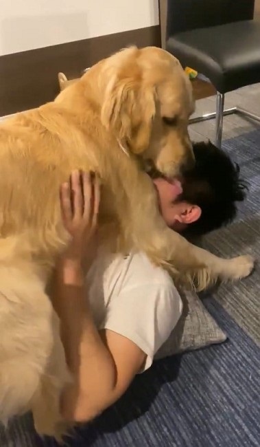 飼い主さんをなめたいワンちゃん