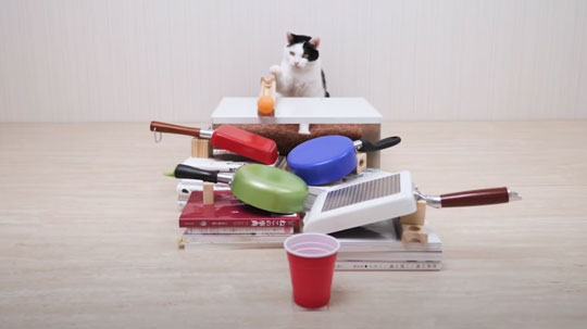 ネコトリックショット