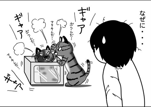 第53話:『使ってない箱』