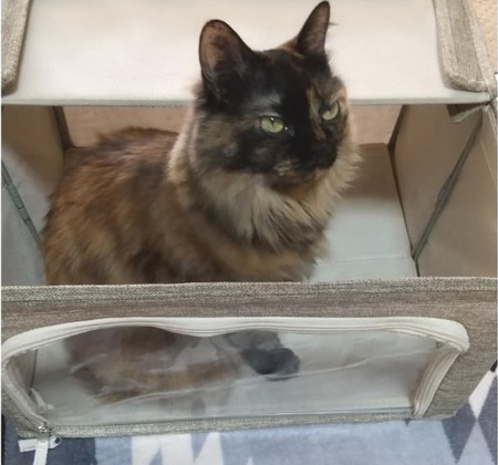 第53話:『使ってない箱』