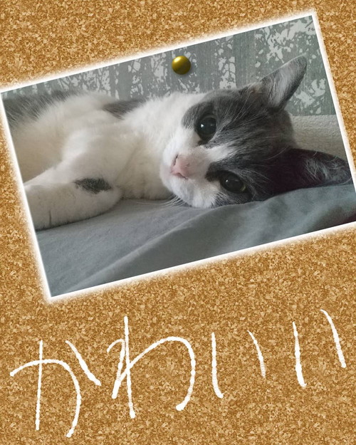 「もし盗聴されていたらの話」