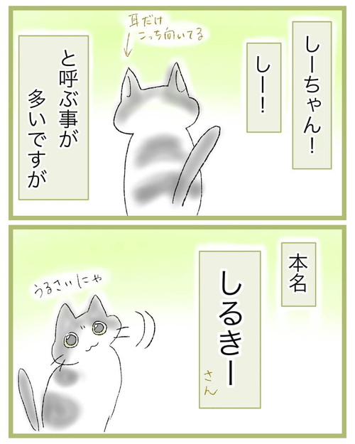 「名前の呼び方の話」