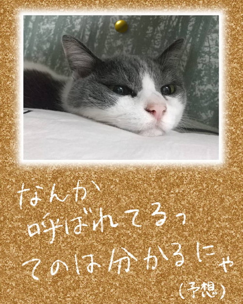 「名前の呼び方の話」