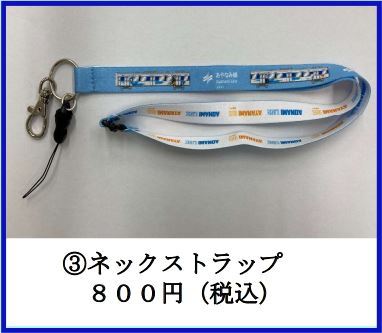 エヴァンゲリオン劇場版 あやなみ線 綾波レイ