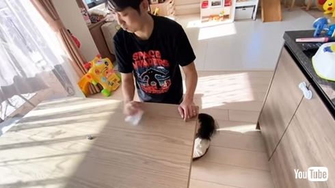 石田明 ノンスタ石田 ダイススタッキング けん玉 特技