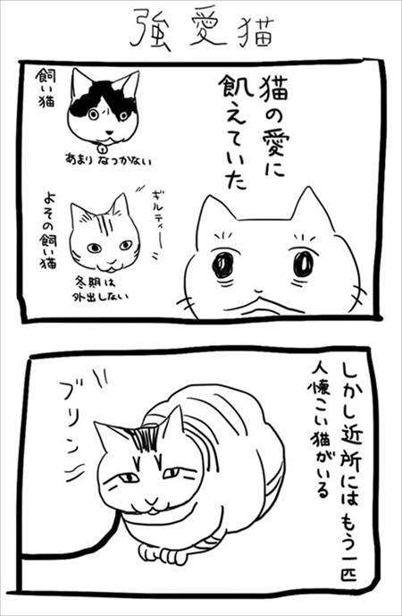 猫の愛に飢えていた