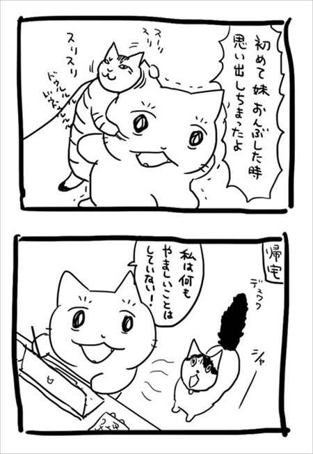 猫の愛に飢えていた