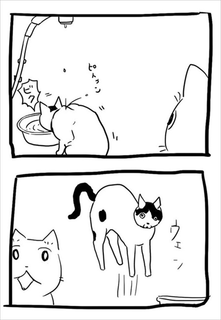 猫の愛に飢えていた