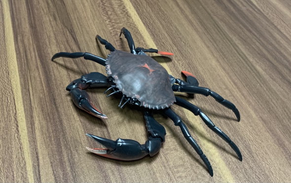 カニ ガシャポン バンダイ 足 みかん モンスターエナジー 卵