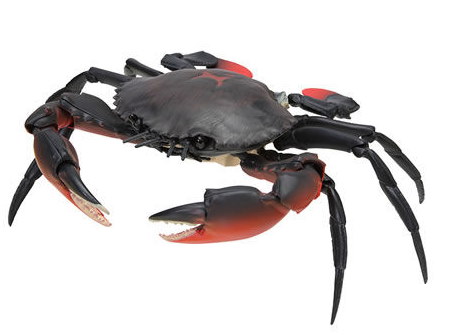 カニ ガシャポン バンダイ 足 みかん モンスターエナジー 卵