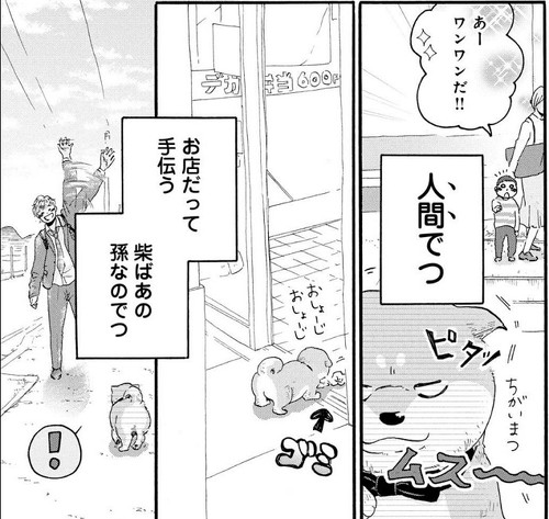 豆柴太　南三陸