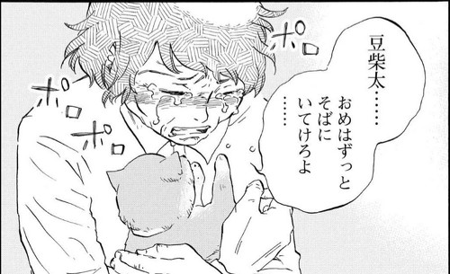 豆柴太　南三陸