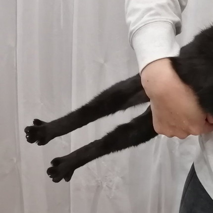 足ピングミちゃん