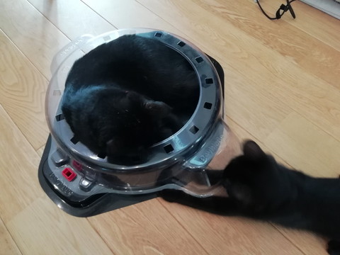 グミちゃんとナッツくん