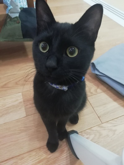 元気いっぱいナッツくん