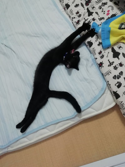 グミちゃんとナッツくん