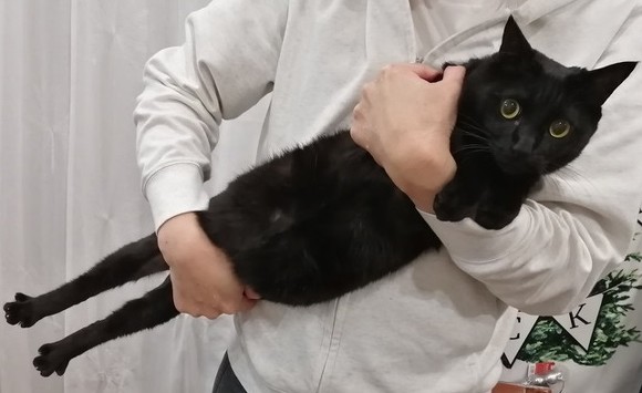 グミちゃんとナッツくん