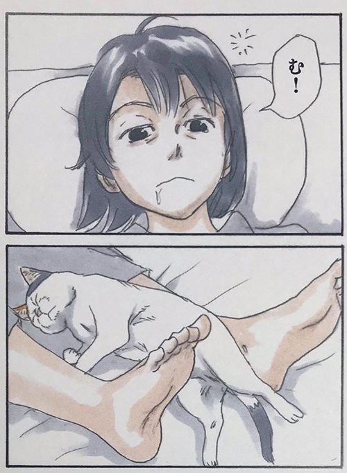 布団の中の攻防1