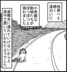 動物を飼っている方へ