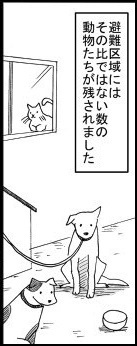 動物を飼っている方へ