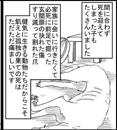 動物を飼っている方へ