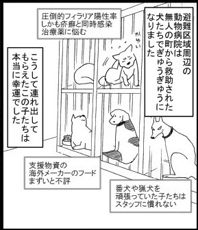 動物を飼っている方へ