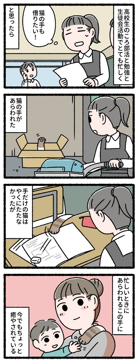 猫は七代たたる pandania tiwtter 漫画 4コマ