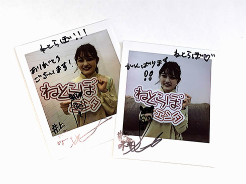 井上咲楽 100質問 眉毛