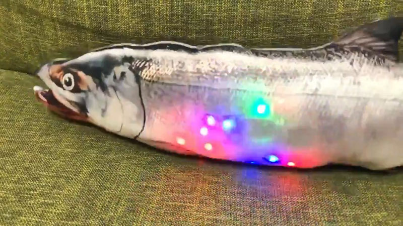 鮭の腹で光る「ゲーミングいくら」爆誕