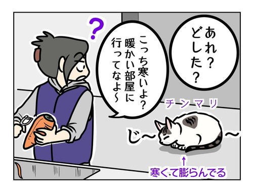 コタツから出てくるまるまるちゃん