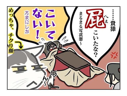 コタツから出てくるまるまるちゃん