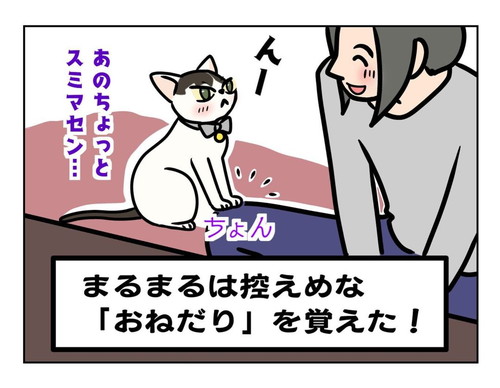 基本は控えめなまるまるちゃん