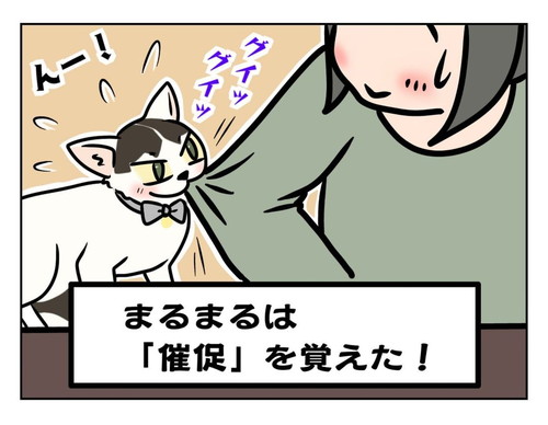 基本は控えめなまるまるちゃん